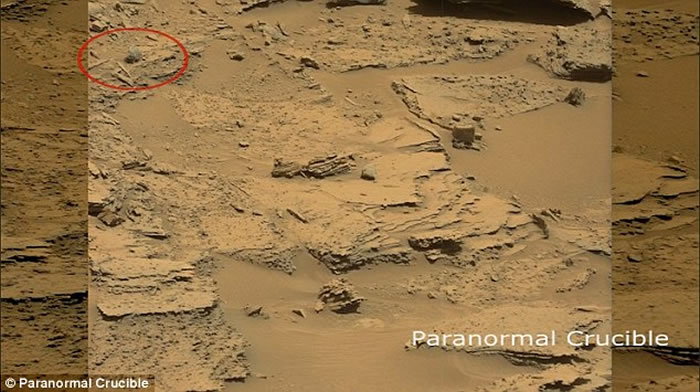 ͼ�к�ɫԲȦ��ע�������·��ֵġ����Ұ��ͷ�ǡ�