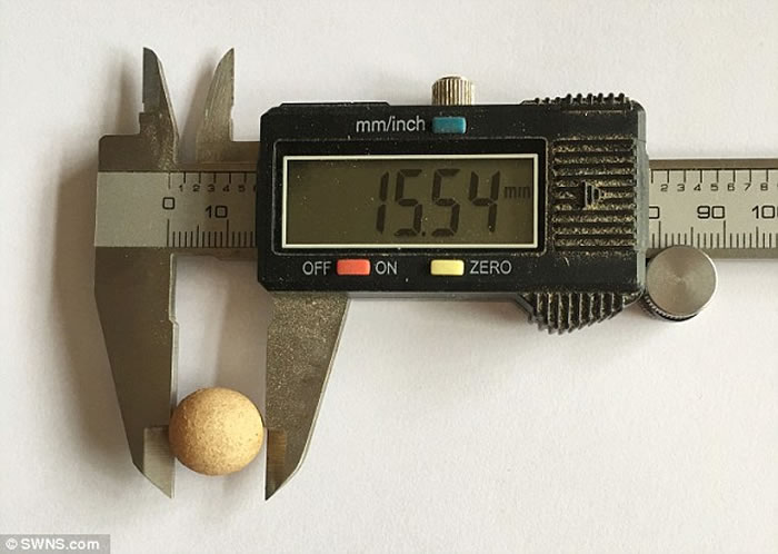 Ӣ��Ů�����ԼҼ����з�����������С���� �߶Ƚ�1.55����