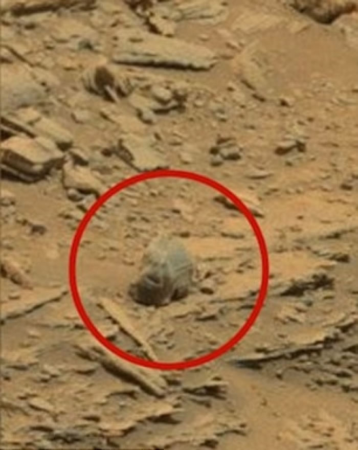 网民将NASA照片放大,发现“骷髅”(红圈)。