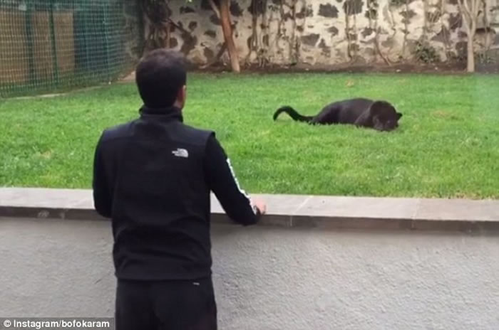 ī���綯��԰�ڱ���͵Ϯ���� ��ԭ��...