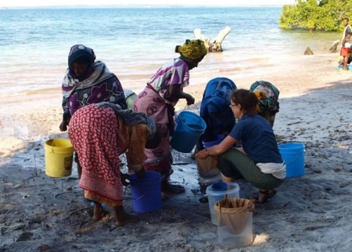 专家经过泸及沉淀方式来处理谷物。