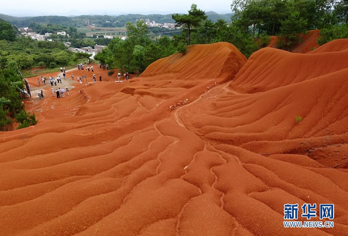 6月13日,来自国内的近20位专家学者前往郁南磨刀石旧石器遗址现场考察。新华网发 许建梅摄