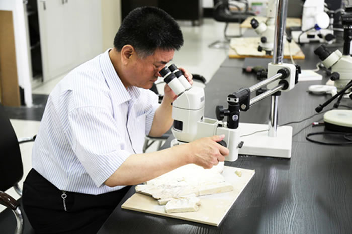 临沂大学终身教授、山东天宇自然博物馆馆长郑晓廷