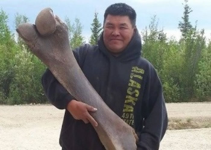 加拿大男子育空河泛舟时发现可能属于100万年前首批进入北美洲的长毛象股骨化石