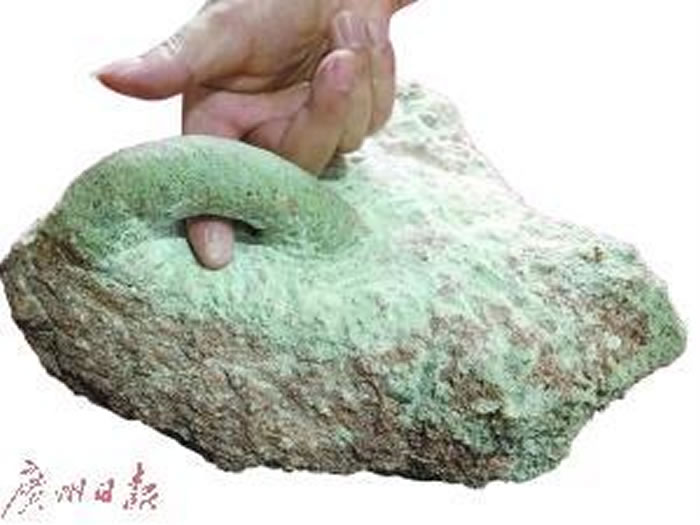 被发掘的河源虫迹化石