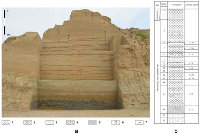 水洞沟遗址第2地点地层剖面及文化层位置(b修改自刘德成等2009。供图:李锋)