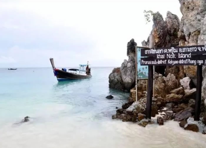 �����������������ա�