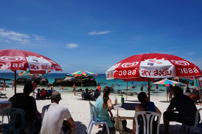 ����ɳ̲�����ο��Ƽ���