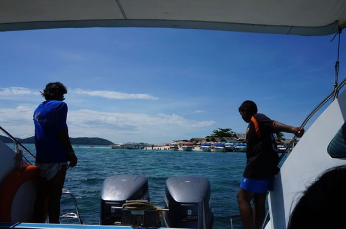 �ο���Ŀ�ͧ�۹���Ŀ����Ϊɺ��ɱ�֡�