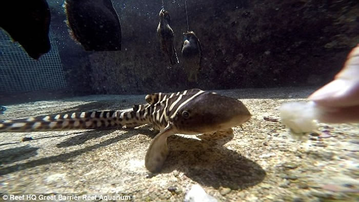 ����ˮ���һ��ĸ��������û�����κι��轻�������¡���Ů���ӡ�