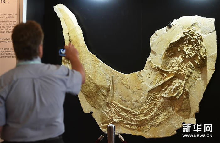 2016年6月23日,香港珠宝首饰展览会与亚洲矿物、宝石及化石展在香港会议展览中心举行。展览将持续至26日,吸引来自41个国家和地区的2200多家参展商参展。新