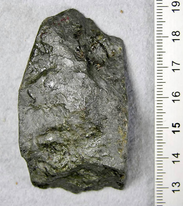 日本福井县立恐龙博物馆发现1.2亿年前恐龙时代哺乳动物化石