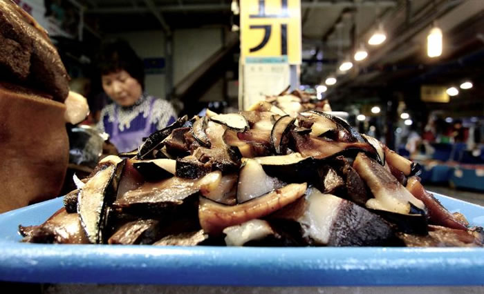 ϺǹʷڷֹⲶɽзۡ PHOTOGRAPH BY NICOLE MCLACHLAN