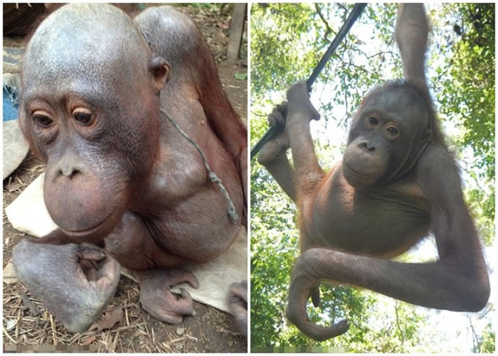 Bujing���ǰ�����ڱ������������������⣬�ڶ��ӻ��������