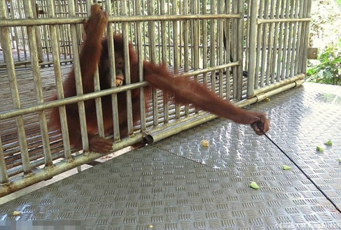 Bujing�ػ�������