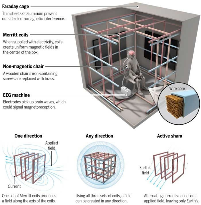 法拉第笼的内部结构。