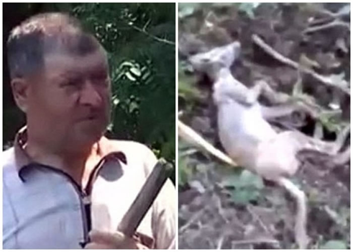 ƣͼ󣩼ɱɽѪ֣ͼΪﱻɱʱ״