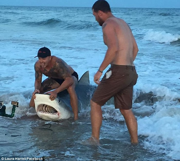 ���������������ݺ�������ר���Ŷ���ɳ̲��ͽ�ֲ�׽����11�ջ���