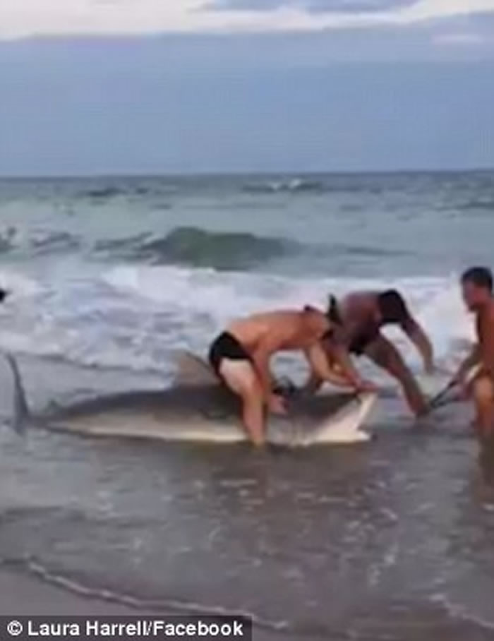 ���������������ݺ�������ר���Ŷ���ɳ̲��ͽ�ֲ�׽����11�ջ���