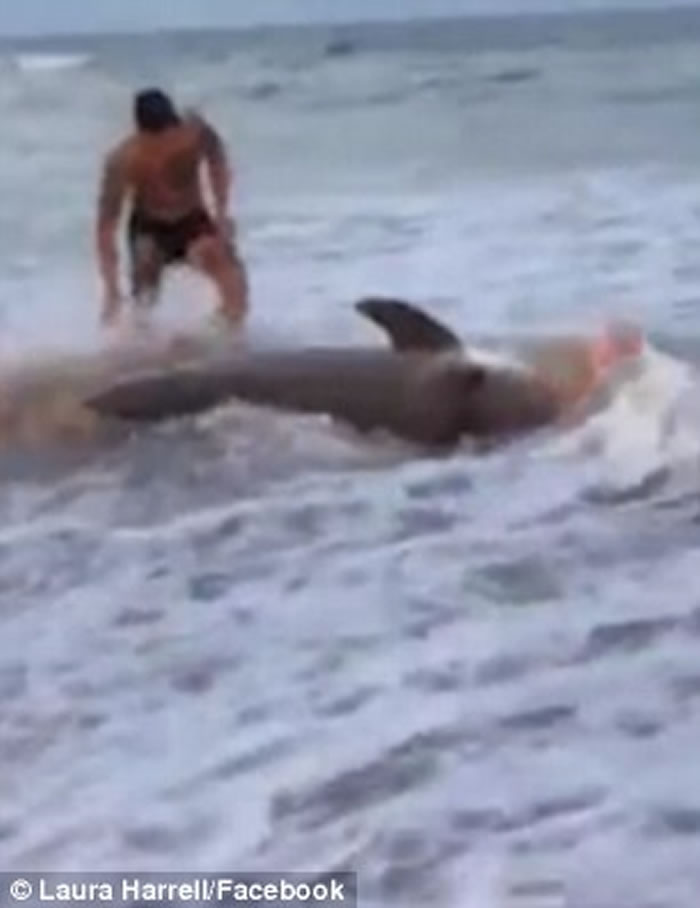 ���������������ݺ�������ר���Ŷ���ɳ̲��ͽ�ֲ�׽����11�ջ���