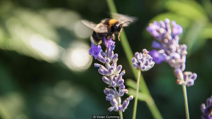 ������۷�ı�����ʲô�����ݻ����£�