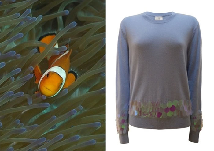 ��ë�������ͳ���΢��ά�ױ��������������Ӱ�캣����̬��