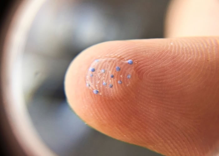 �����ڸ��˻�����Ʒ�е�΢�������Ǳ��ܹ�ע��΢����Ⱦ�