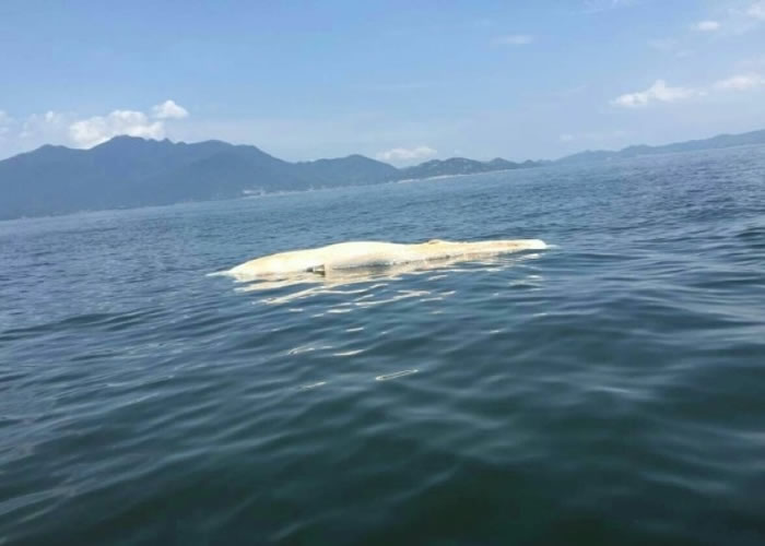 ڴ庣һˮʬ壬ɫƤںƯ