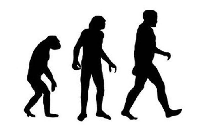 �Ŵ�֤�ݱ�����Ȼѡ������������������