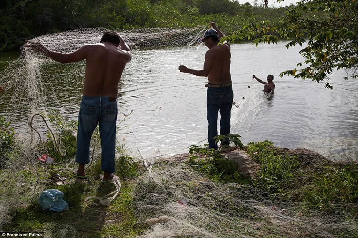 墨西哥盗猎者捕鳄鱼打昏活剥皮 卖到“时尚圣地”意大利做精品