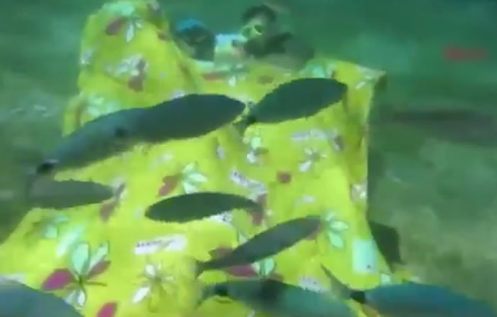 ӵ8ˮ뺣ͬߡ ѹڱ