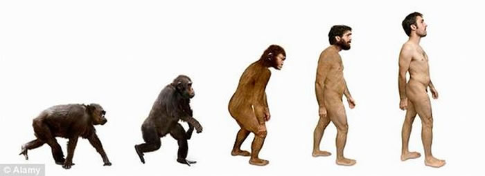 之前研究显示人类大约4万年前已停止进化,但是近期研究表明人类处于缓慢进化,繁殖成功相对寿命与教育程度具有负相关性。