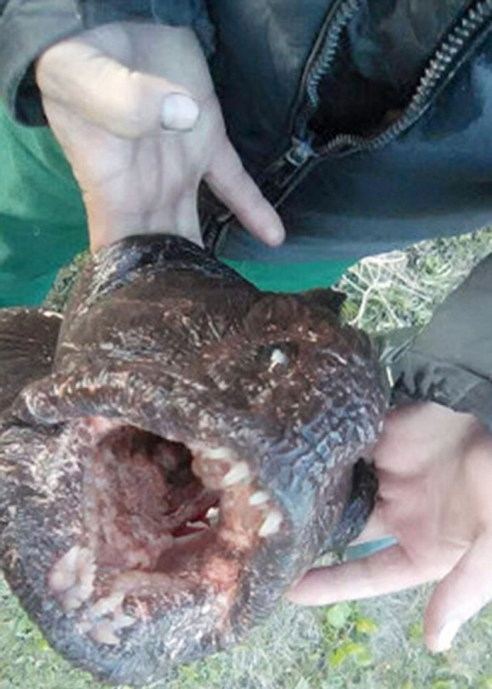 ˹ڵ¶ع͹ڿӵɭֲ ΪǸı