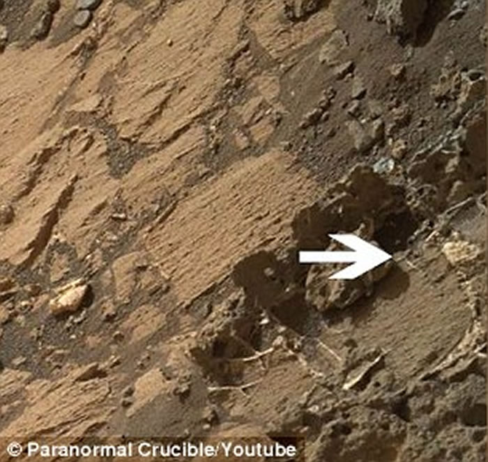 局部放大图像,外星人狂热爱好者表示,这个神秘结构是火星表面上某种生物的骨骼残骸。