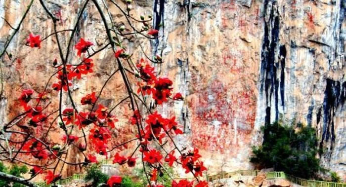 �һ�����ǧ�����ĳ�ˢ������ɫ��