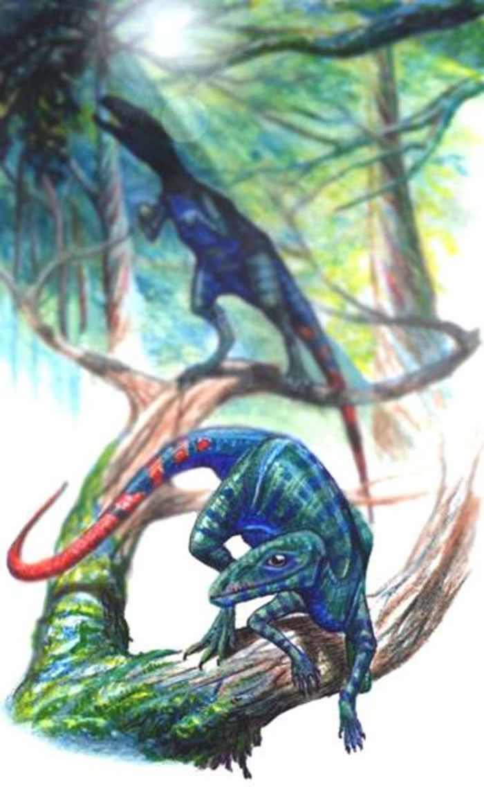 �����о���ʾ�����Ľ������ܸ��ӽ����ӵĹ�����