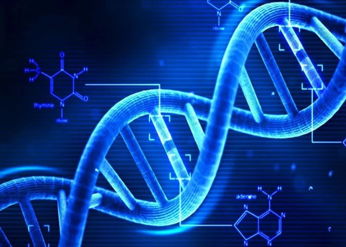 英国专家发现,DNA能预测孩子日后的学习成就。