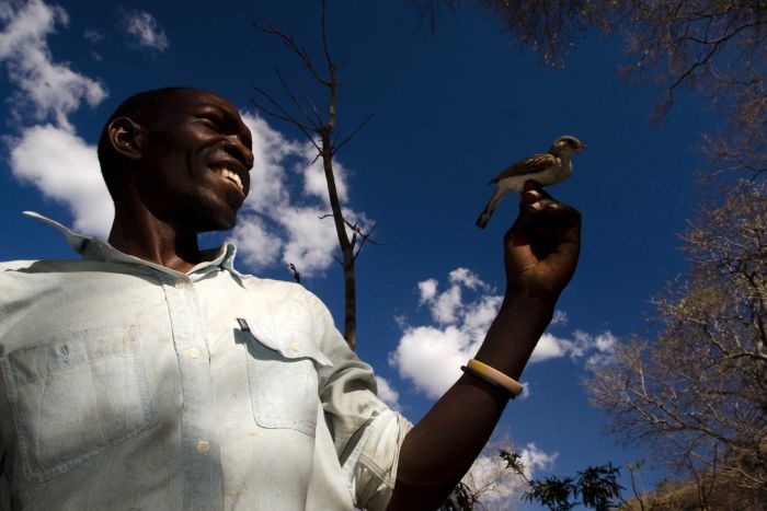 ��Īɣ�ȿ����������ұ�������Yao����ķ��۲ɼ���Orlando Yassene����ץ��һֻ�ϴ�ķ����򵼴�����ֻ����Ϊ���о�����ʱץ��ģ���
