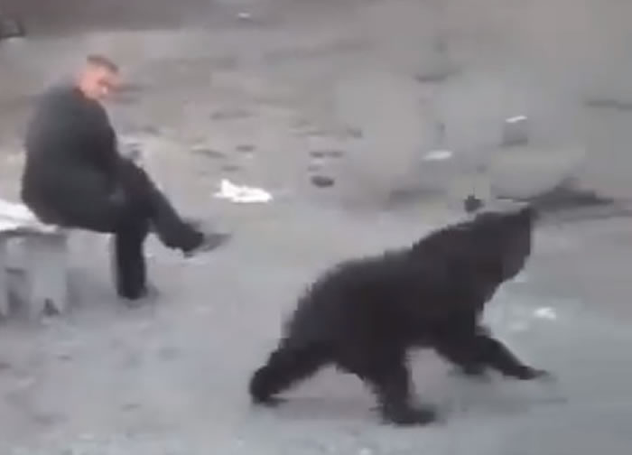 ս�����壺����˹���Ӱ�����ͷһƳ�Ͱѹ����лι����Ĵ�����ŵ���Ķ���