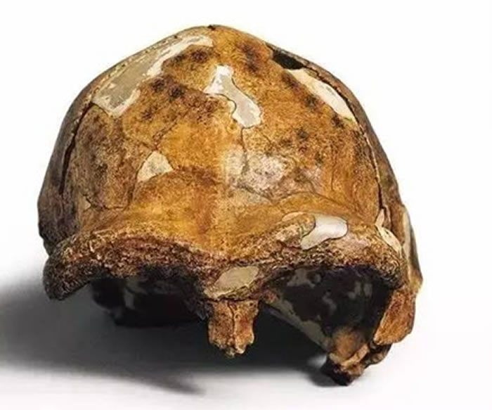 ��ԭ�ı�����ͷ�ǹǣ��û�ʯ�ķ����������й��������й���Դ�����ۡ�DeAgostini/Getty