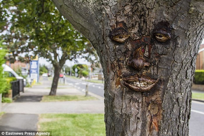 Ӣ����ά��һҹ֮����֡���������