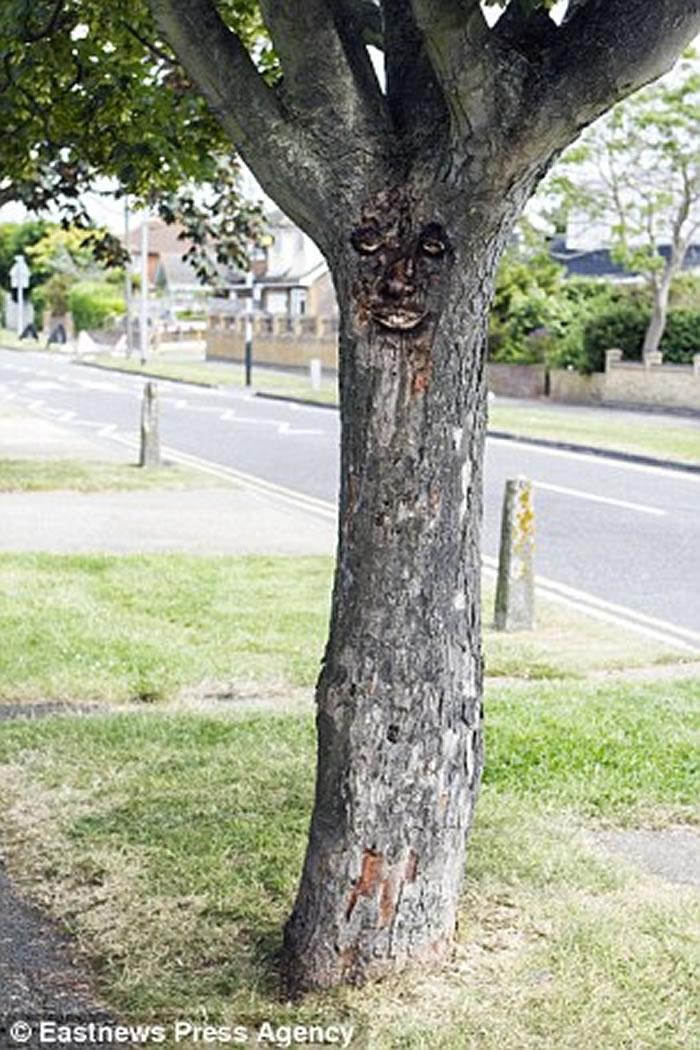 Ӣ����ά��һҹ֮����֡���������