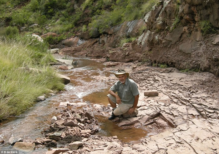 南非溪床中发现的两亿年前素食恐龙畸齿龙竟然长着“备用牙齿”