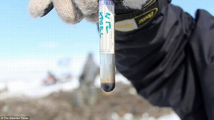 ��ͼ��ʾ��ר��������һ������ʬ������ȡDNA��������ʬ���б�����õ���֯��ѪҺ��