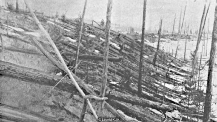 在爆炸发生20年后,这些树木仍然倒在地上。