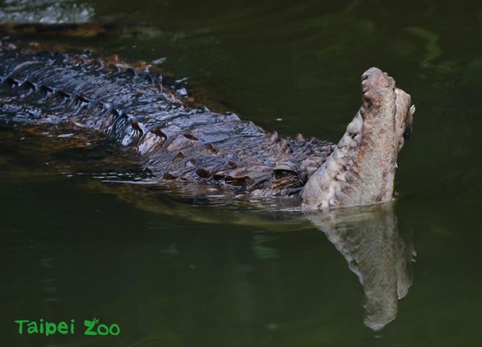 ������ͱ��������̣�������������Ϊ�ڶ���԰����Ű����ͼ��̨����������԰�ṩ��