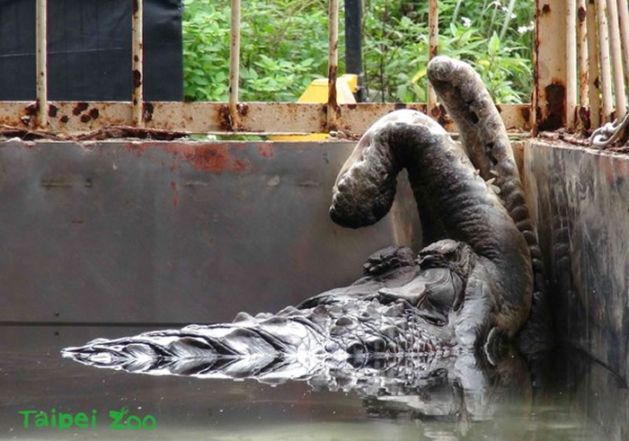 ������104���ƾ�̨����������԰������Ա�ǳ���ϸ���չ�������ͼ��̨����������԰�ṩ��