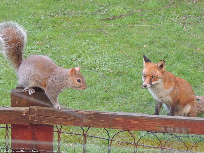 Ӣ���׶غ��껢������ С�����Ĵ����