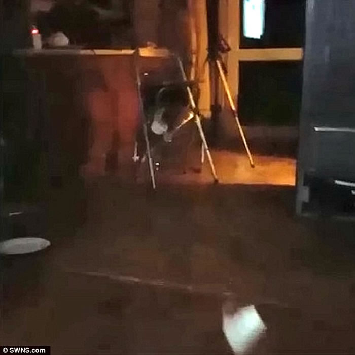 灵异一幕:英国伦敦居民家中夜深人静时杯和碟突然无故落地