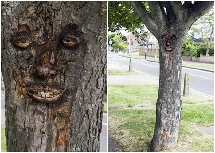 ����Ϳѻ����Ϊ��ľ�����������������ס�